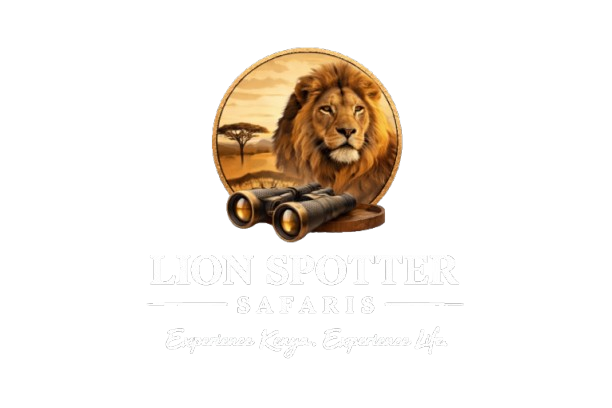 LION SPOTTER SAFARIS
